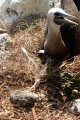 She was quite protective